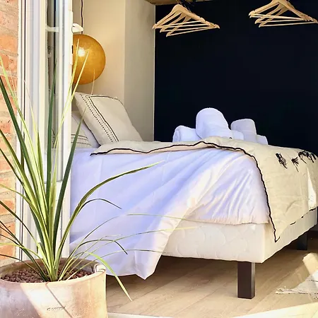 Le Saint Jean, Parking Et Climatisation Montauban